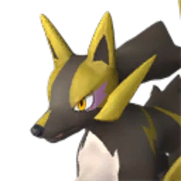 Rayhound